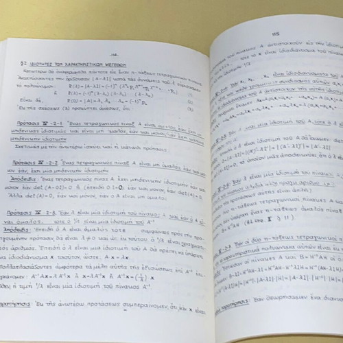 Linear Algebra Lessons by Ioannou Chaini like new