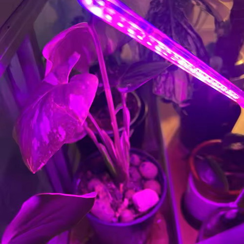 Phytolamp Full Spectrum LED Grow Light USB like new