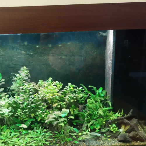 Juwel Rio 450 aquarium like new with cabinet