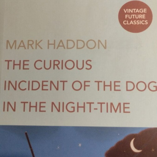 The Curious Incident of the Dog in the Night-Time book like new, English