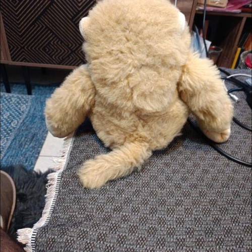 Plush doll like new