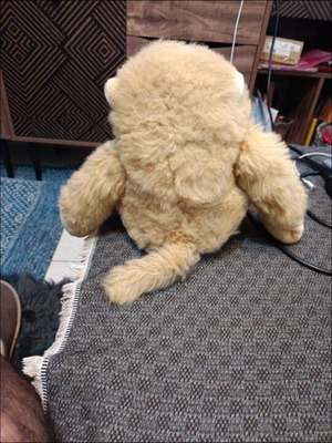 Plush doll like new