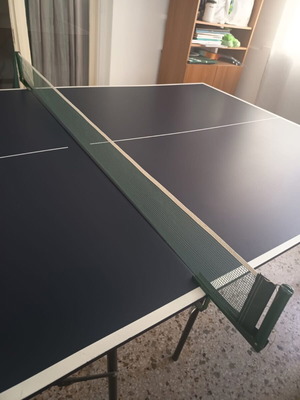 Ping Pong table