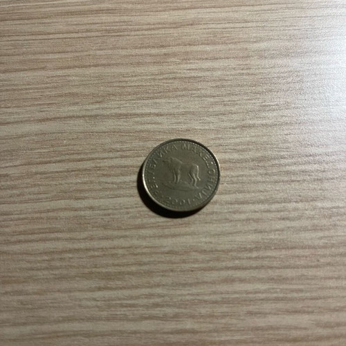Rare Skopje Coin new, authentic