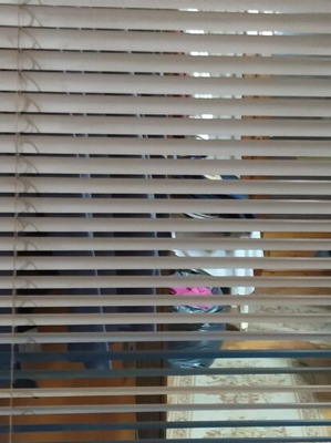 Aluminium blinds set of 2, ecru with blue stripes