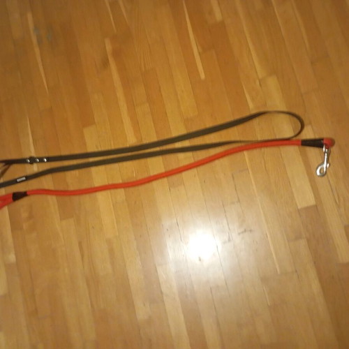 Dog leashes 2 pcs like new with Kong small gift