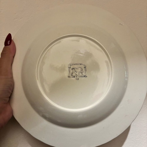Ceramic plates used