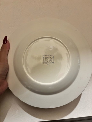 Ceramic plates used