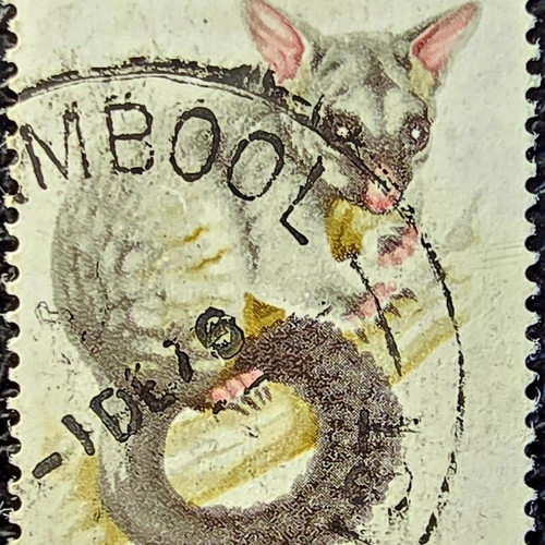 Australia 1974 Brushtail Possum stamp