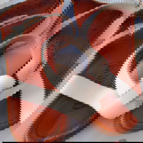 ΠΕΔΙΛΑ CROCODILINO No32