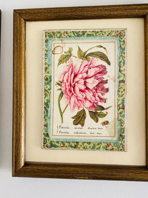 Set of three used frames with wooden frame 17x20