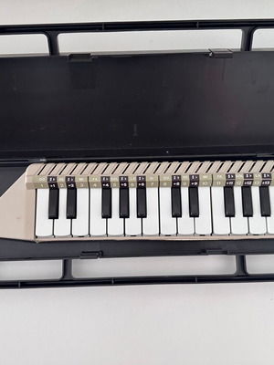 Bontempi Classic Melodica used with original carrying case