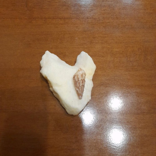 Love artwork by Common Art with heart-shaped stone and shell, new