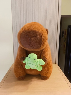 Capybara plush with turtle, like new