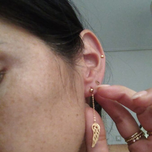Silver earrings with rose gold wing symbol