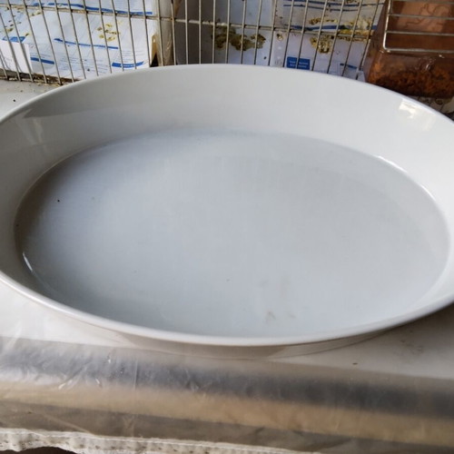 Vintage Ionias deep white platter, large