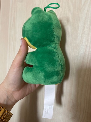 Plush Frog New Toy