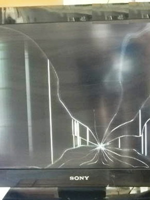 Sony KDL-32BX300 TV boards used