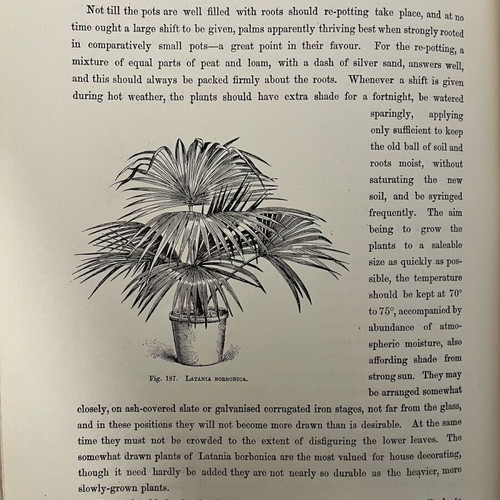 The Flower Grower's Guide used, John Wright, volume 3