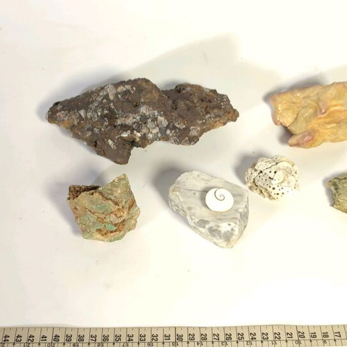 Pack of 6 unique stones for collection and decoration