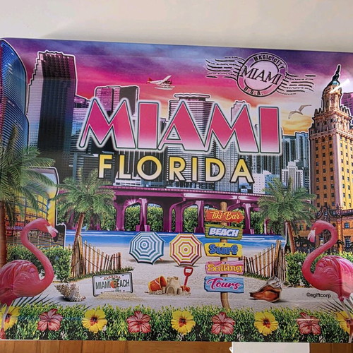Miami souvenir plate 25x16 new