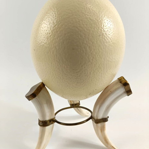 Tripod base used from fakocheros teeth with ostrich egg