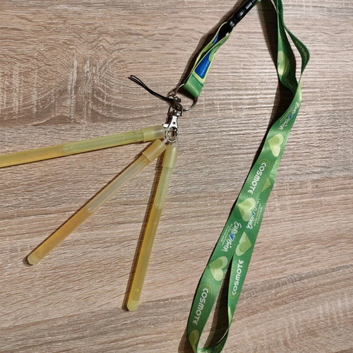 Eurovision 2006 Athens Keychain neck strap new