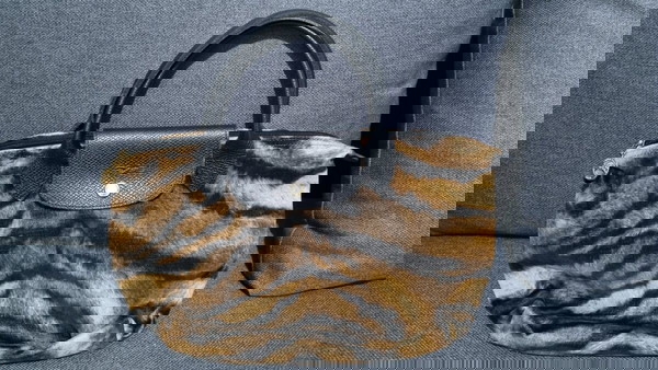 Συλλεκτική animal print Longchamp τσάντα