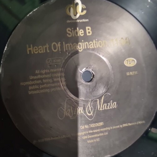 Sasha & Maria Be As One vinyl used