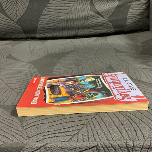 Goosebumps No 4 The Cursed Photos book used