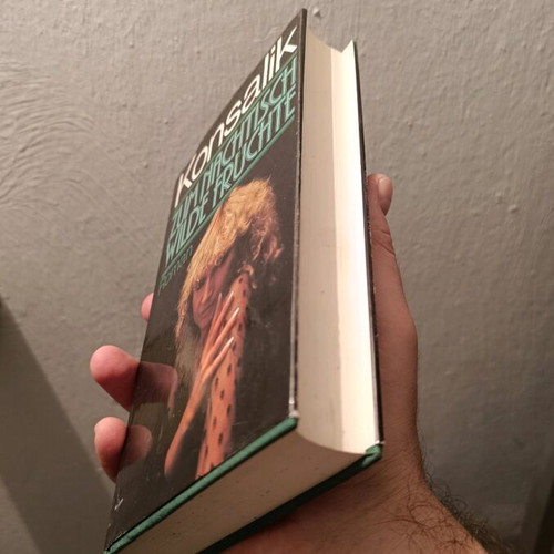 German book Zum Nachtisch Wilde Fruchte Roman used