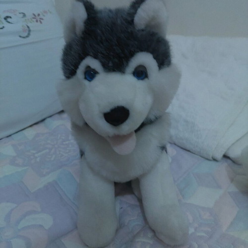 Plush Husky Dog Like New