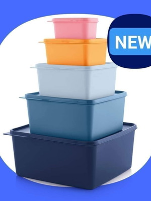 Fresh containers set of 5, airtight and watertight