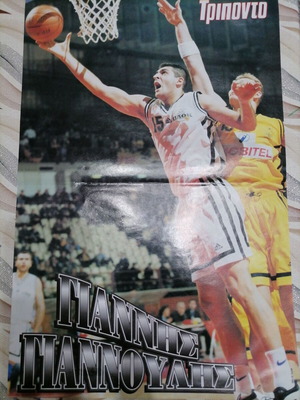 Basket poster double like new