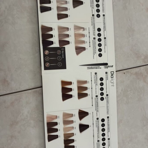 L’Oréal Professionnel Dia Book color chart