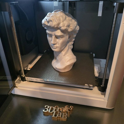 David bust by Michelangelo 3d printed new, about 20cm