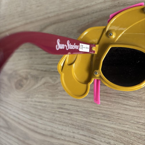 Paw Patrol Sky sunglasses mask