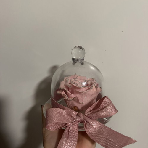 Forever Rose in Glass