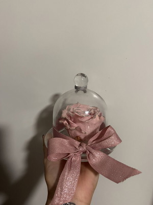 Forever Rose in Glass