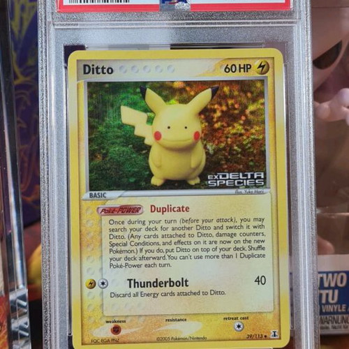 pikachu ditto pokemon card Amazon.com: Armarouge Pokemon Card main image 1