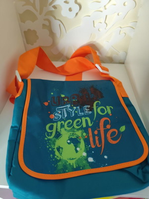 Tupperware insulated bag