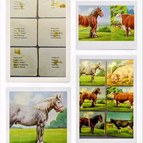 Vintage paper scraps with farm animals used, set of 6 pieces