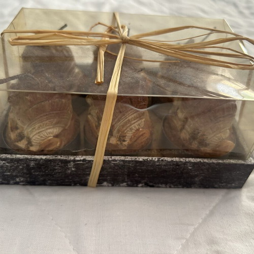 Tealight candles seashell set of 6 new in box