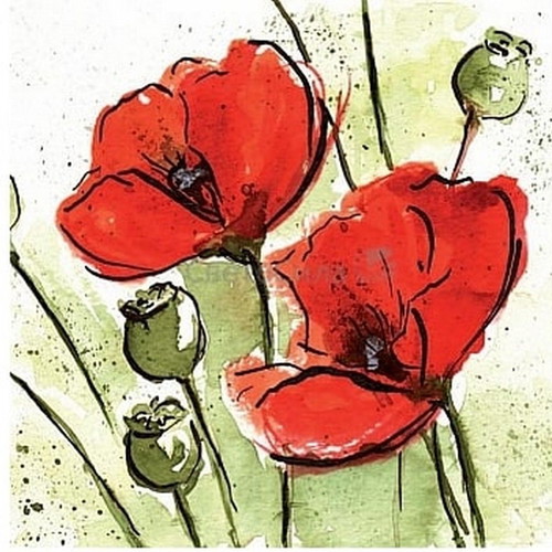 Inn Aquarelle Florals II canvas painting 50×50cm new