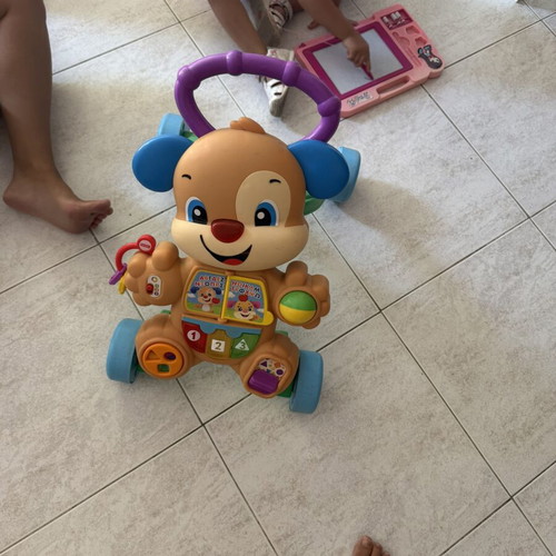 Fisher Price Puppy Baby Walker