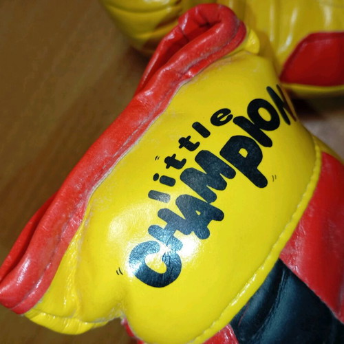 Little Champion vintage boxing gloves used