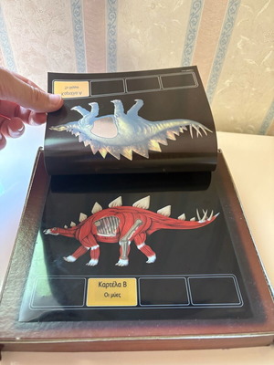 Dinosaur anatomy table used