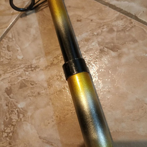Zebco Praktica DX-60 Fishing Rod, 40-60