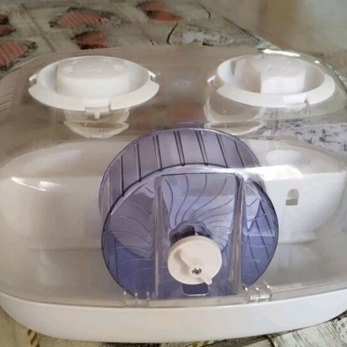 Hamster cage