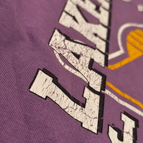 NBA Los Angeles Lakers LeBron James #6 graphic t-shirt used, purple XS